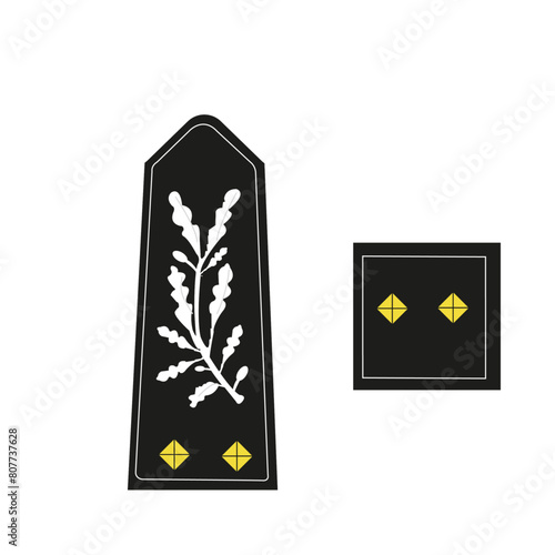 Galon de l'armée française, de la police nationale, du corps de commandement : Corps de commandement, Commissariat général de la police.