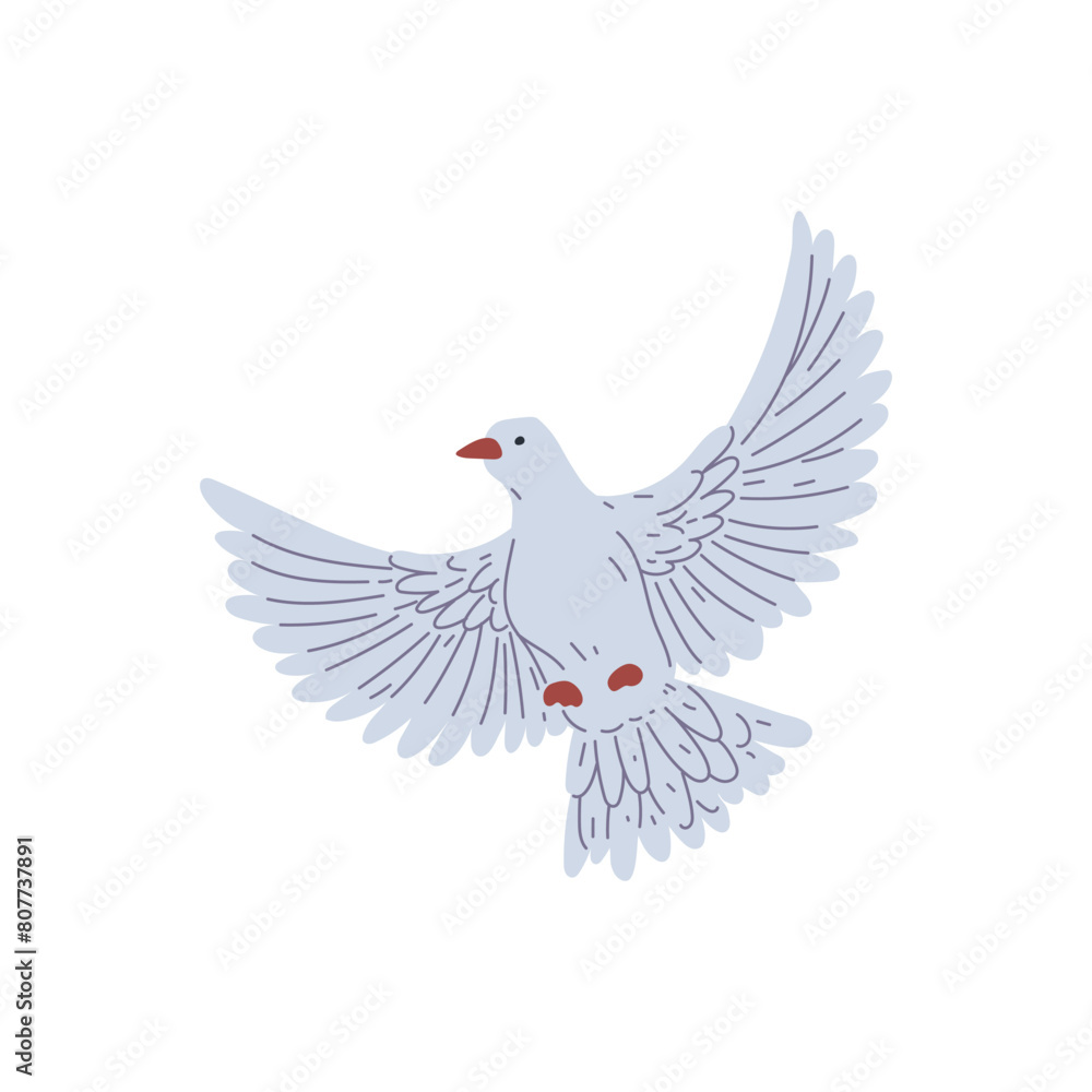 Obraz premium Dove in flight vector illustration