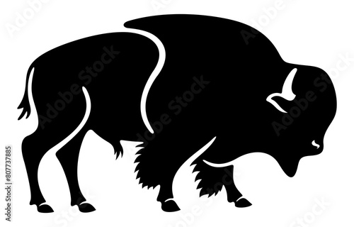 American bison and buffalo, animal, cattle and horned cattle. Wildlife, horned, ox and bull, illustration