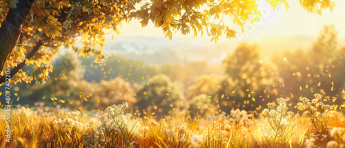 Autumnal Landscape in a Forest Park  Golden Sunlight Filtering Through Colorful Foliage  Vibrant Fall Scenery