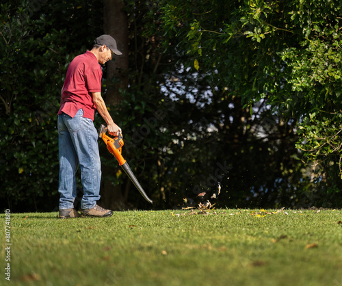 Man cleaning fallen leaves using a leaf blower on the lawn. Auckland.