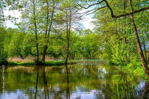 Obraz na płótnie Konstancin Jeziorna, photo Wojciech Fondalinski w salonie
