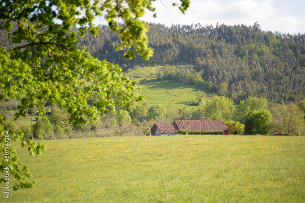 Tejado de casa rural tras pradera verde en Asturias Tejado de casa rural tras pradera verde en Asturias