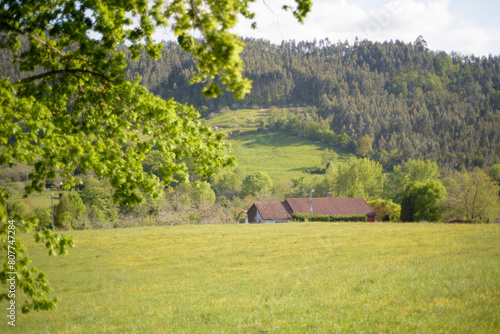 Tejado de casa rural tras pradera verde en Asturias