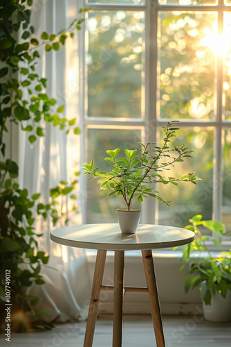 White round table in a modern minimalist style interior design background  with a blurred window with white curtains in the foreground and blurred green plant leaves on the left side of the frame. A c