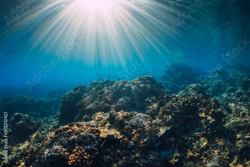 Tropical sea with corals and sun rays. Tranquil underwater scene with copy space.