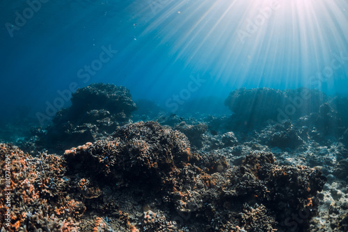 Underwater scene with copy space. Blue ocean with corals and sun rays