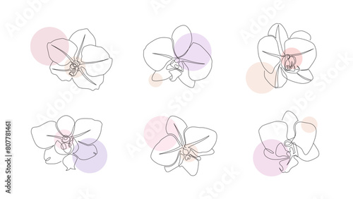 Collection of orchid flowers in vector. Modern one line floral illustration on white background