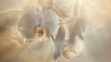 the ethereal beauty of an orchid in soft, diffused light, with its translucent petals and delicate fragrance evoking a sense of serenity and tranquility, making it a perfect subject for contemplation