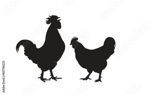 Silhouettes of female and male chickens. Beautiful chicken. Vector illustration