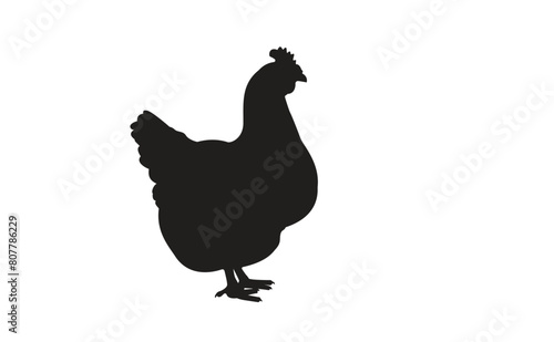 Silhouette of a female chicken. Beautiful chicken. Vector illustration