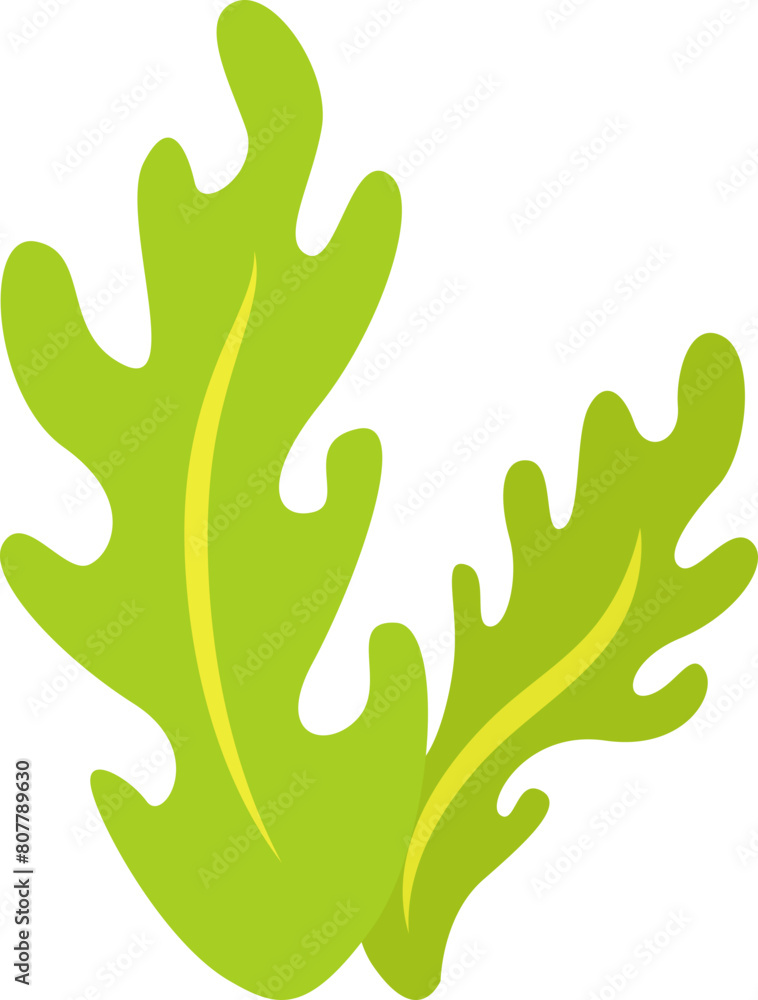 green seaweed illustration design isolate green seaweed illustration design isolate