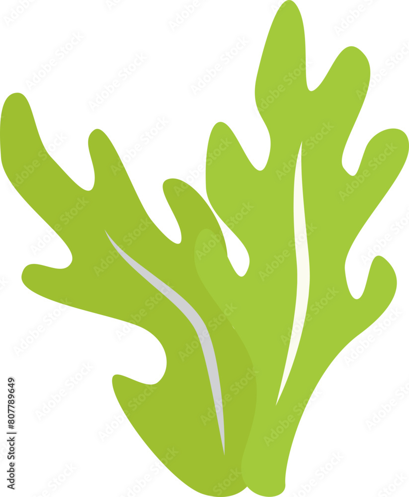Obraz premium green seaweed illustration design isolate