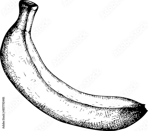 Exotic fruit icon. Hand-drawn banana sketch. Tropical plant drawing