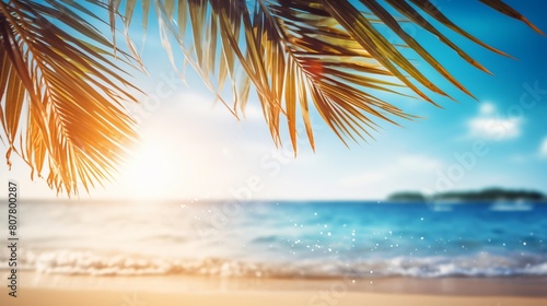 beautiful summer background with palm leaves and a sandy beach