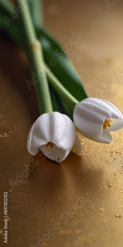 Two white tulips stood majestically on a golden table  their petals gracefully releasing a shower of gold dust.