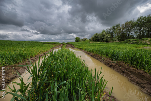 WEATHER - Rainy clouds and a flooded ruts on a green soggy field
