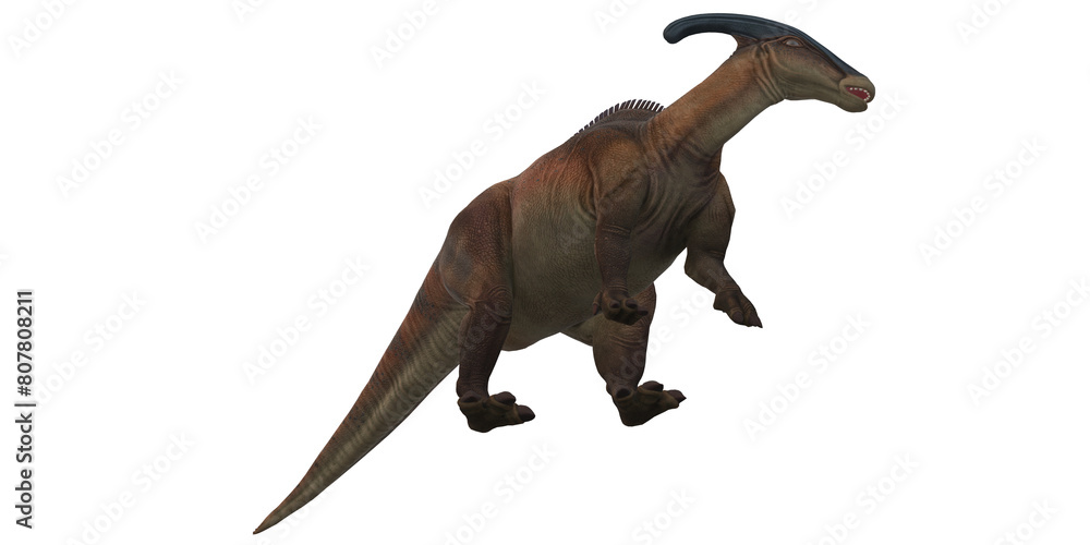 Parasaurolophus on a Transparent Background Parasaurolophus on a Transparent Background