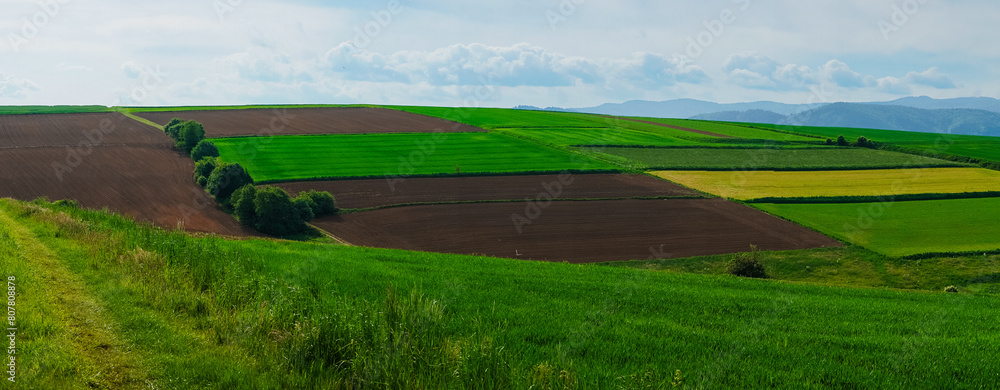 Beskid Żywiecki, widok z Pogórza Wilamowickiego. Panorama wiosną z pięknymi zielonymi łąkami i polami.