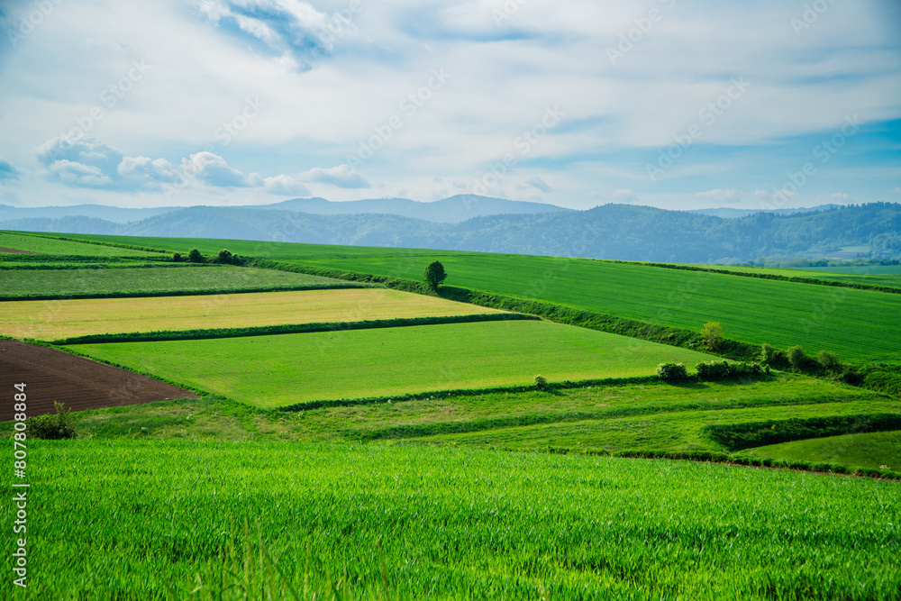 Beskid Żywiecki, widok z Pogórza Wilamowickiego. Panorama wiosną z pięknymi zielonymi łąkami i polami. Beskid Żywiecki, widok z Pogórza Wilamowickiego. Panorama wiosną z pięknymi zielonymi łąkami i polami.