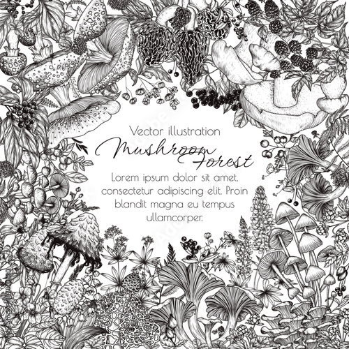 Vector frame forest plants. Mushrooms, flowers, berries. Fly agaric, porcini mushroom, honey mushrooms, oyster mushrooms, violets, cloudberries