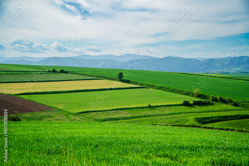 Obraz na płótnie Beskid Żywiecki, widok z Pogórza Wilamowickiego. Panorama wiosną z pięknymi zielonymi łąkami i polami. w salonie