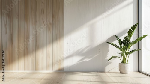 A large potted plant sits in front of a white wall. The room is empty and the plant is the only decoration. The sunlight coming in through the window casts a warm glow on the plant and the wall