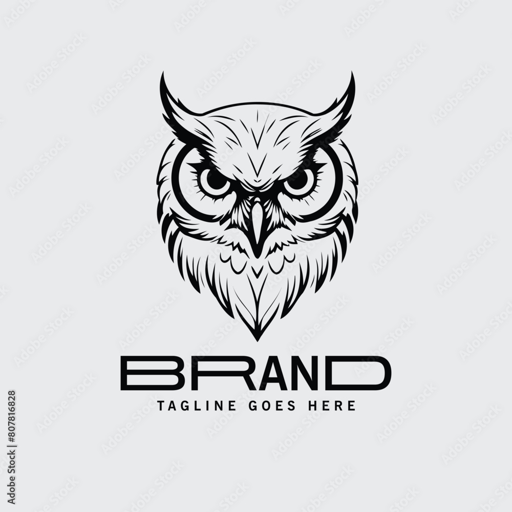owl  vector business  Logo Design Template Element