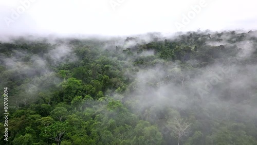 Wallpaper Mural Aerial view of a dense mist covering the rainforest. Mavic pro 3. 4K Torontodigital.ca