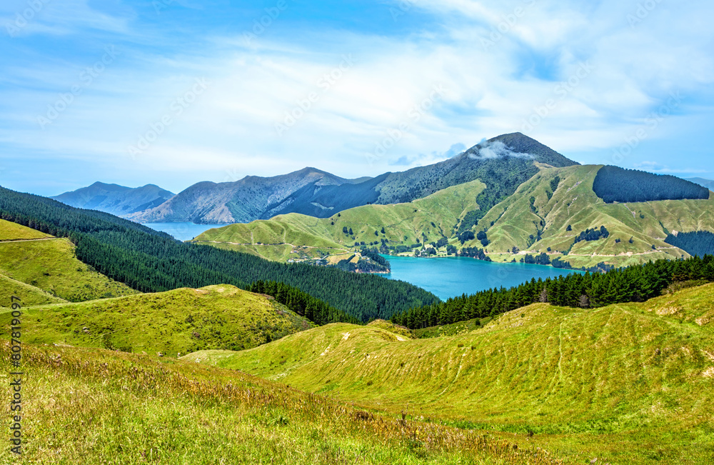 Obraz premium Cissy Bay, Marlborough Sounds, South Island, New Zealand, Oceania.