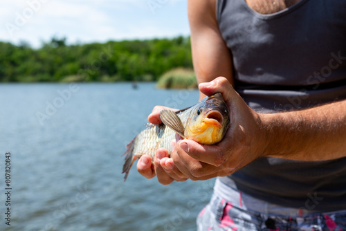 Fisherman holding Prussian Carp fish in hands on the lake photo