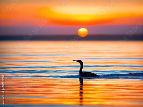 sunset on the sea photo