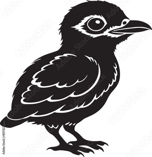 Crow Bird - Black and White Vector Illustration  Isolated On White Background