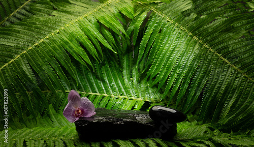 podium background made of natural stones and plants with texture © serhii