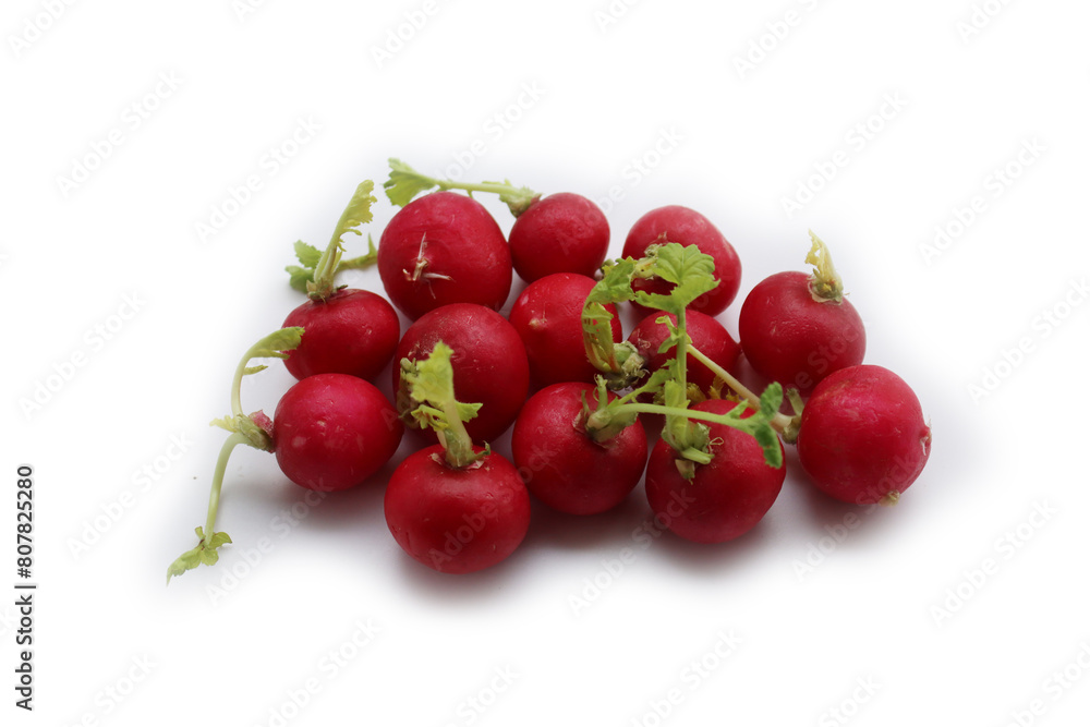 Red radishes isolated on white background. Bunch of fresh radishes. Raphanus sativus Red radishes isolated on white background. Bunch of fresh radishes. Raphanus sativus