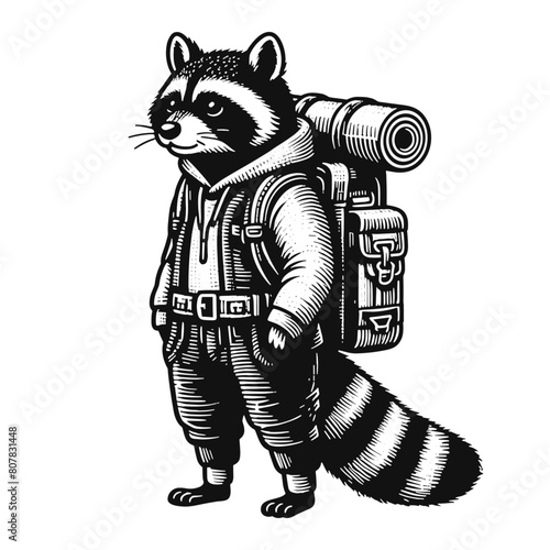 raccoon traveler with a backpack illustration