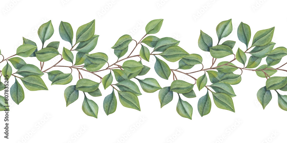 Seamless border of green branches. Lush foliage. Forest leaf plants. Intertwining stems.. Watercolor illustration isolated on white background. Simple rustic ornate for package, textile