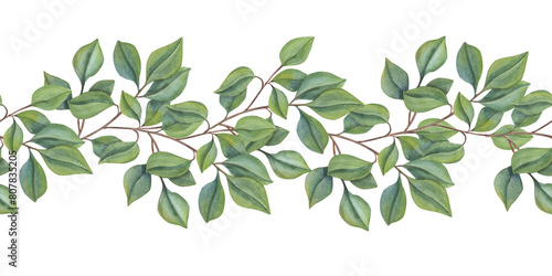 Seamless border of green branches. Lush foliage. Forest leaf plants. Intertwining stems.. Watercolor illustration isolated on white background. Simple rustic ornate for package, textile