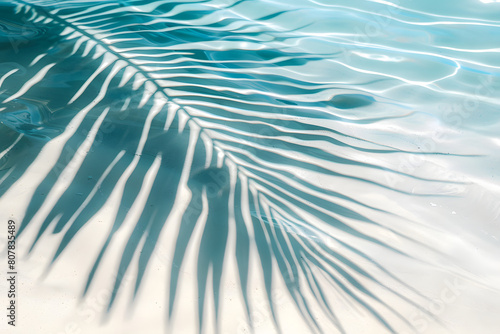 Karibisches Paradies: Palmblätter am weißen Sandstrand mit kristallklarem Wasser © Lake Stylez