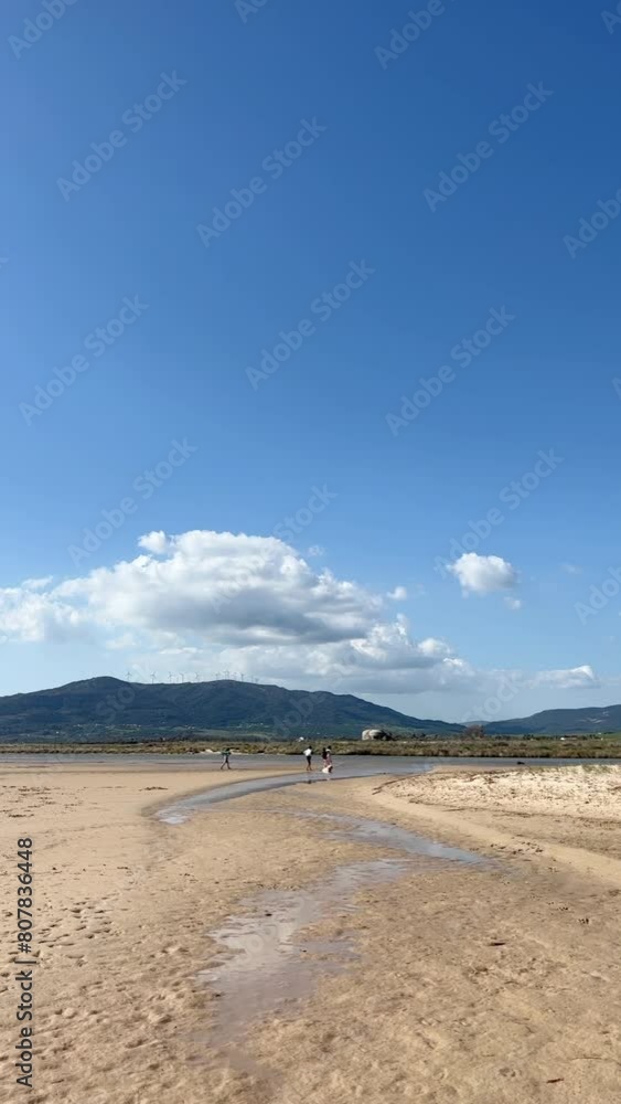 Against the backdrop of a wide beach dotted with golden sand, a vivid picture of a summer holiday unfolds. Children, surrounded by bright sunshine and blue skies, play with the ball. Vertical frame
Against the backdrop of a wide beach dotted with golden sand, a vivid picture of a summer holiday unfolds. Children, surrounded by bright sunshine and blue skies, play with the ball. Vertical frame