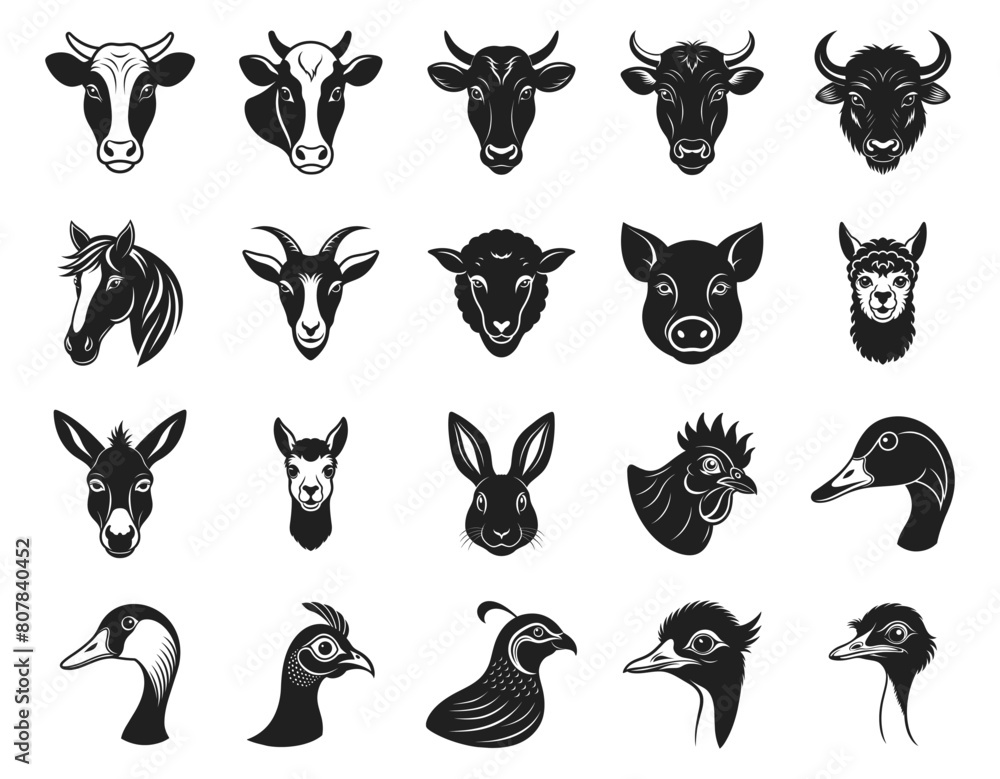Fototapeta premium Farm animals head vector illustration. Different domestic birds and pet hand drawn black on white background. Silhouette of cow, goat, chicken, donkey, duck, emu, goose, guinea fowl.