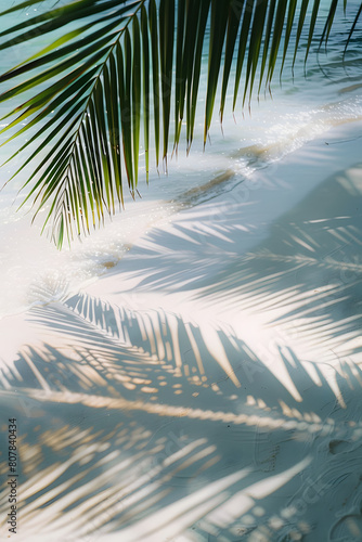 Karibisches Paradies: Palmblätter am weißen Sandstrand mit kristallklarem Wasser photo