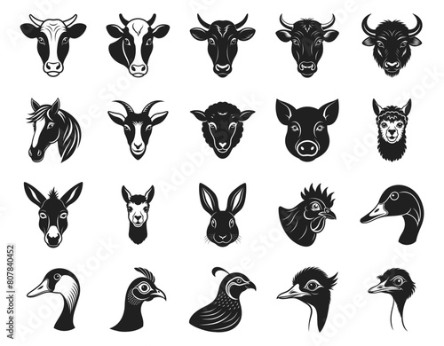 Farm animals head vector illustration. Different domestic birds and pet hand drawn black on white background. Silhouette of cow, goat, chicken, donkey, duck, emu, goose, guinea fowl.