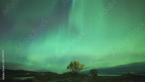 The dark winter sky adorned with a spectacular exhibition of the northern lights. photo