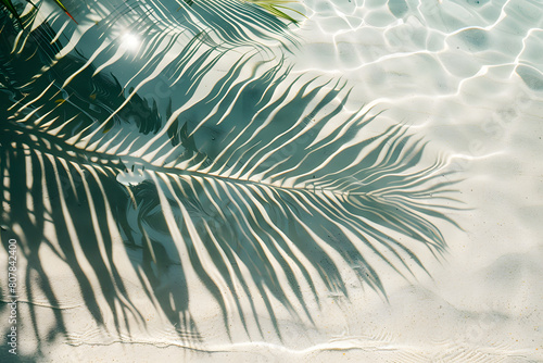 Karibisches Paradies: Palmblätter am weißen Sandstrand mit kristallklarem Wasser photo