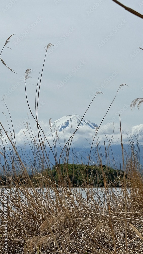Obraz premium View of Mount Fuji from Afar