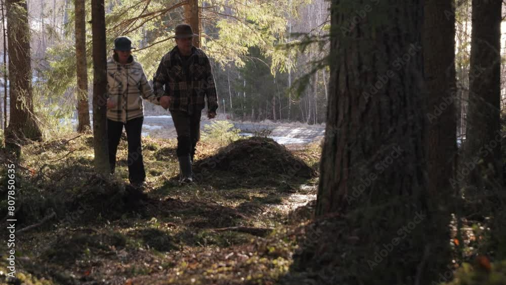 Two seniors enjoying a leisurely walk in a sunlit pine forest, companionship in nature Two seniors enjoying a leisurely walk in a sunlit pine forest, companionship in nature
