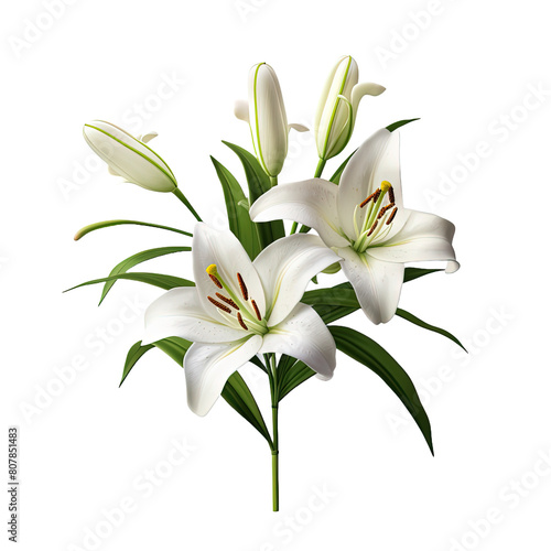 Easter Lilies isolated on transparent background. © Tasif