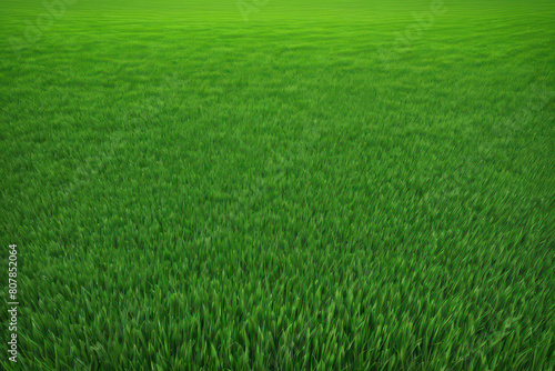 Grass texture. Summer garden template. Realistic lawn background. Green backyard. AI Generative