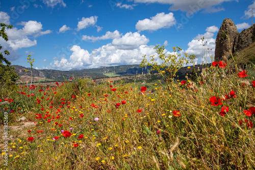 Walking trails around Ronda in Spain in spring